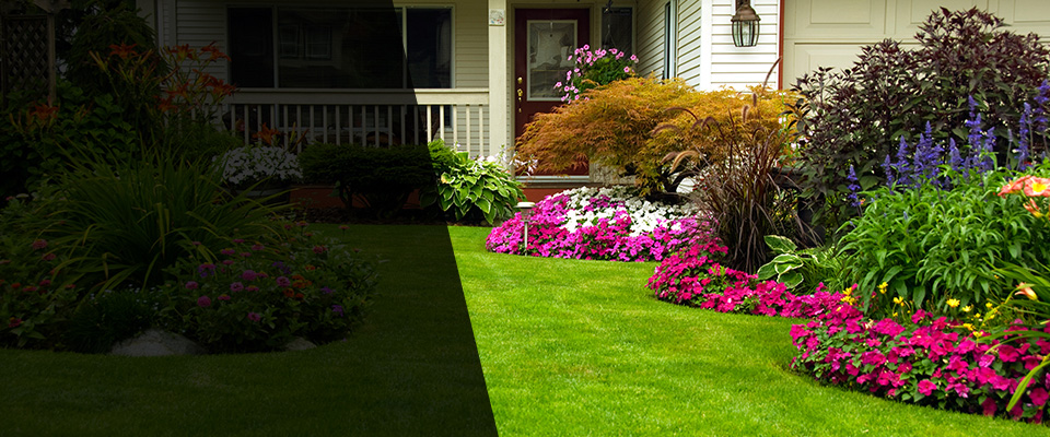 Roosevelt Landscapers